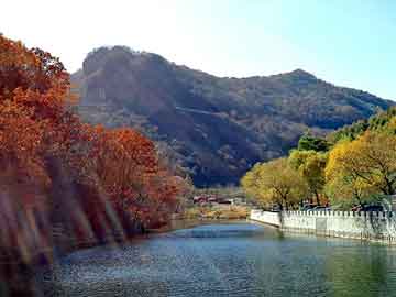 管家婆黑白马报图库，土壤水势仪